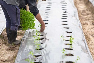 AustraliaCouldBeTheSafestCMountryIfThereIsEverANuclearApocalypse