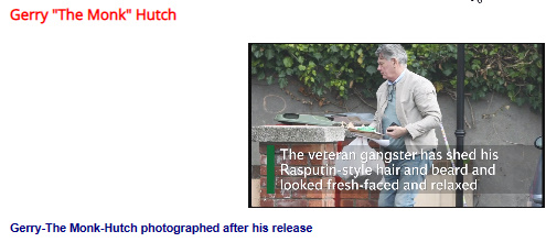 GerryTheMonkHutch-photographed-after-his-release GerryTheMonkHutch-photographed-after-his-release