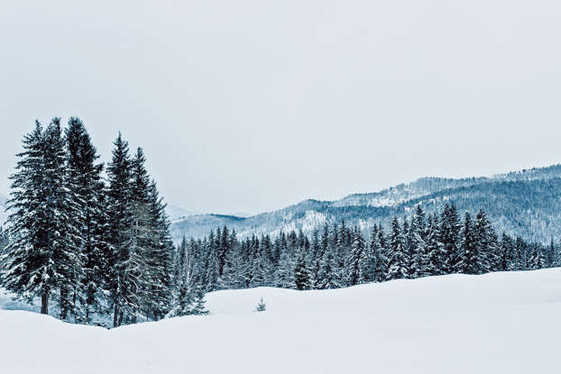 MikhailPopkovSerialKillerWhoVolunteeredToFightInPutin'sWarAgainstUkraine MikhailPopkovSerialKillerWhoVolunteeredToFightInPutin'sWarAgainstUkraine