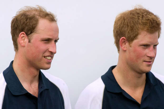 PrinceHarryRevealsTheNicknamesOfTheTwoBrothers PrinceHarryRevealsTheNicknamesOfTheTwoBrothers