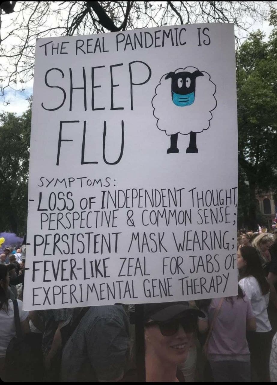 The Real Pandemic Is Sheep Flu The Real Pandemic Is Sheep Flu