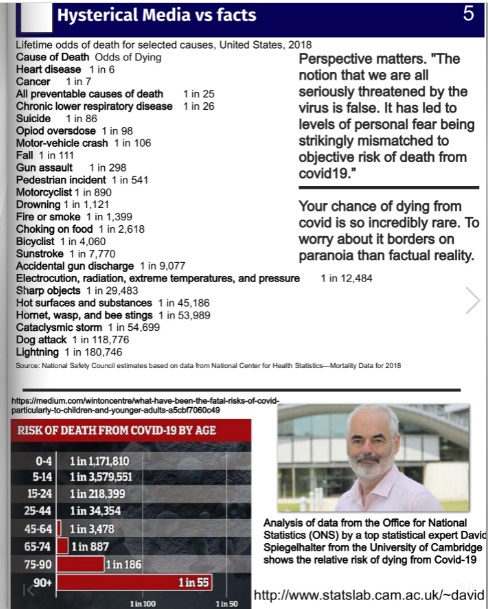 COVID-19_HystericalMedia-v-Facts